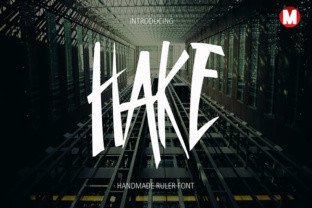 Hake Font: Bold Display Typography for Campaigns