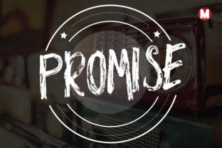 Promise Font Review: A Designer’s Practical Take