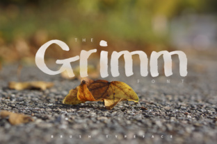 The Grimm Font: A Bold Brush Typeface for Branding