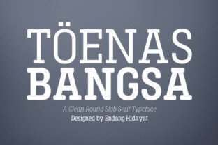 Toenas Bangsa Font: A Polished Slab Serif for Branding