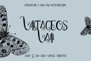 Vintageos Vain: A Designer’s Practical Review